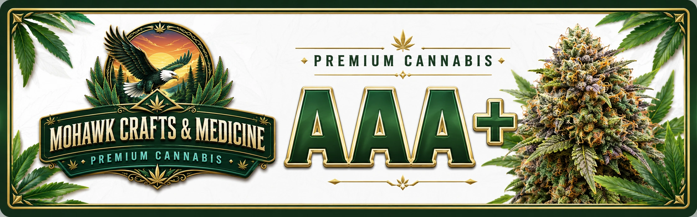 AAA+