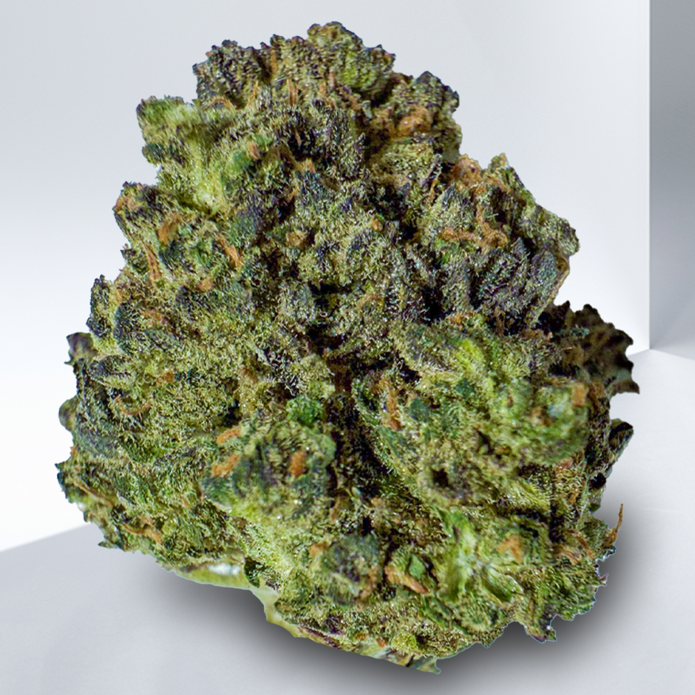 167-PURPLE-URKLE-1-1.jpeg