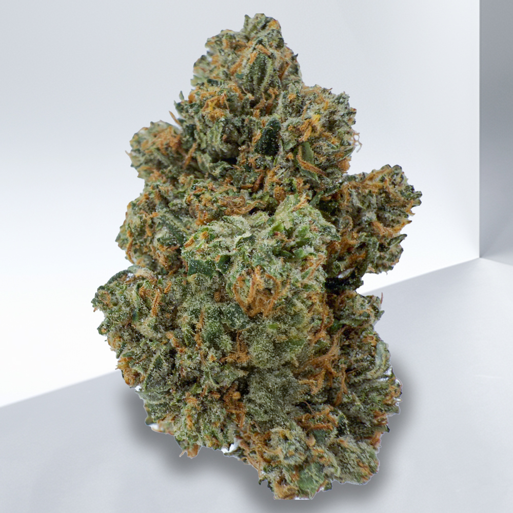 363-Pink-Gas-X-1.jpg